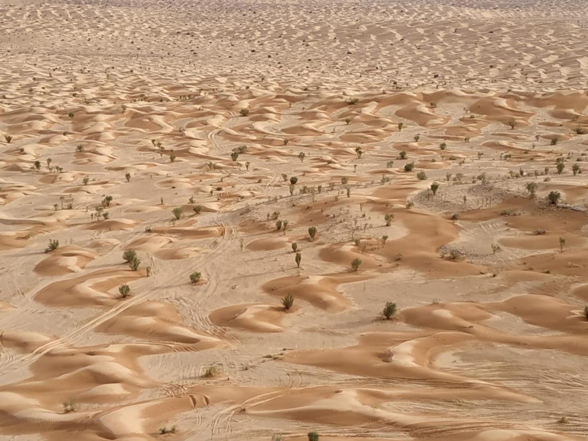 Grand Sud, La Maison De Sable Douz Exteriör bild