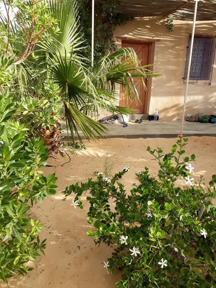 Grand Sud, La Maison De Sable Douz Exteriör bild