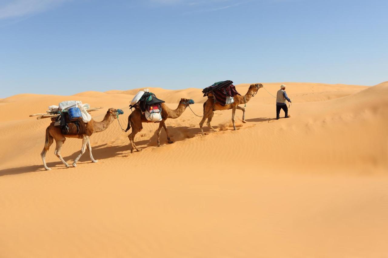 Grand Sud, La Maison De Sable Douz Exteriör bild